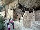Spruce Tree House