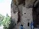 Spruce Tree House