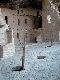 Spruce Tree House