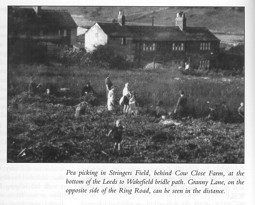 Picture of the cottages behind Cow Close Farm